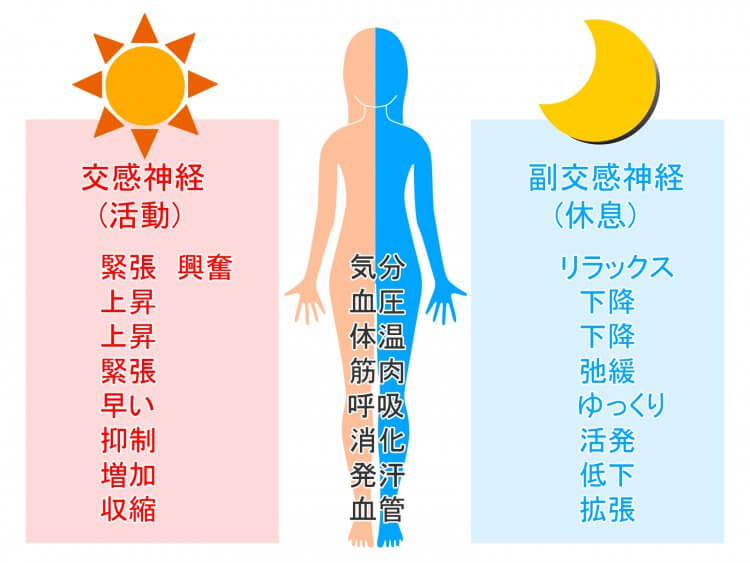 治し 症 方 自律 失調 ツボ 神経 パニック発作・自律神経失調症を薬を飲まずに治した女性