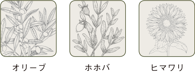 RENOVO FULGENS Shampoo(レノーボ フルジェンス シャンプー) | Villa